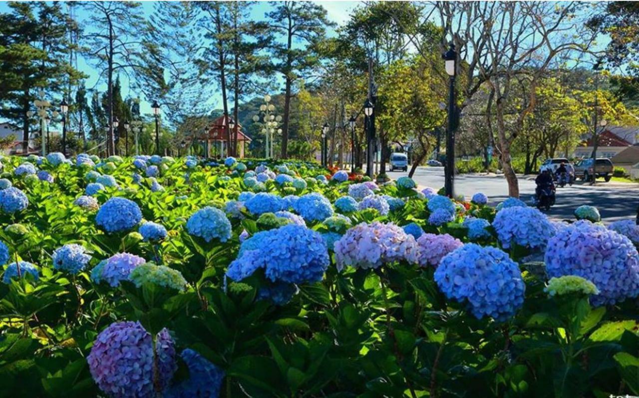 Hotel Daisy Dalat House Zewnętrze zdjęcie